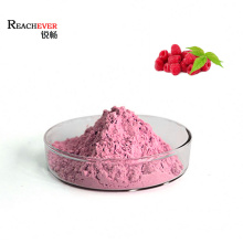 Factory Suuply Organic Raspberry Fruit Powder for Beverage